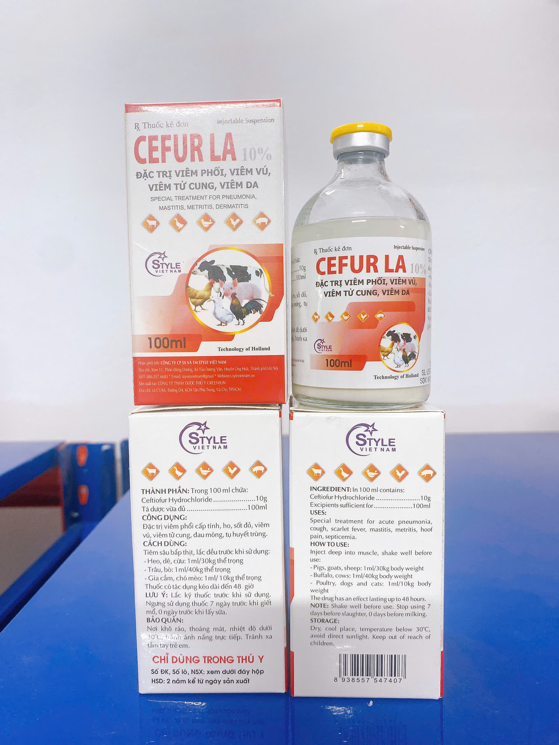 cefur (2)