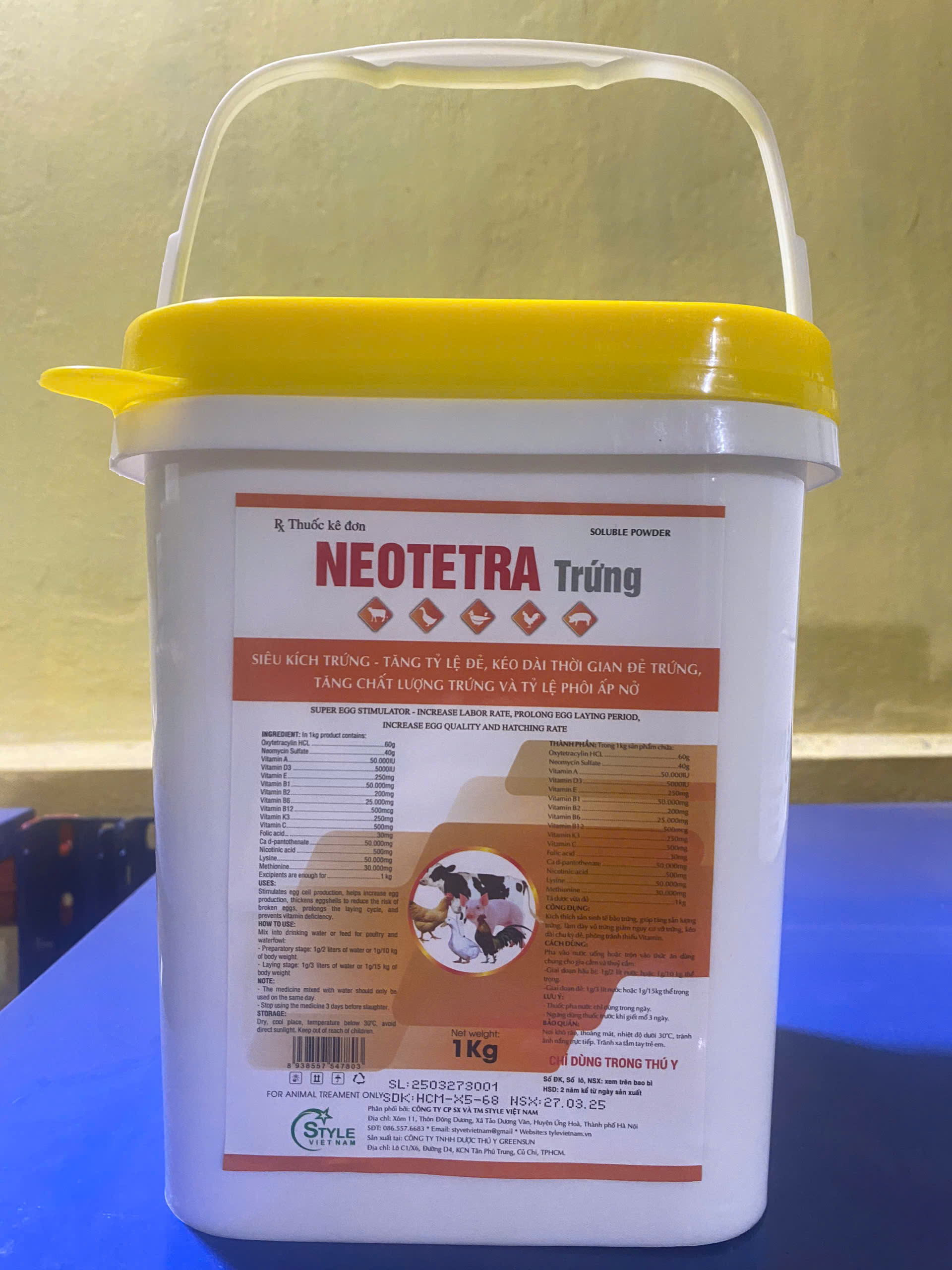 neotetra trứng